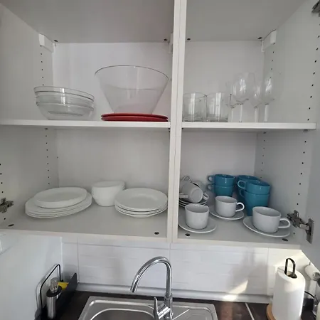 Palm Breeze - Americas *